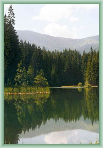 Wrbicke pleso