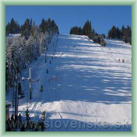 Ski Brezowica