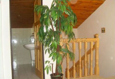 Pensjonat HELENA w Tatrach Wysokich