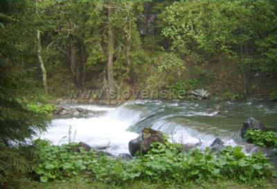 Chata w Dolinie Raczkowej nr. 477 i 478