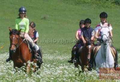 Pensjonat HippoClub