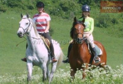 Pensjonat HippoClub