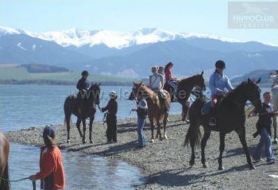 Pensjonat HippoClub