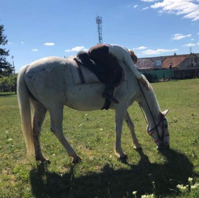 Pensionat Petka i Janka