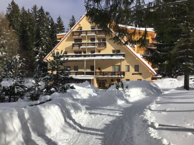 Ski-apartamenty Spieżowec