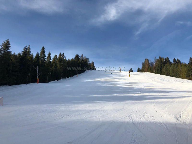 Ski Brezowica
