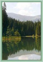 Wrbicke pleso